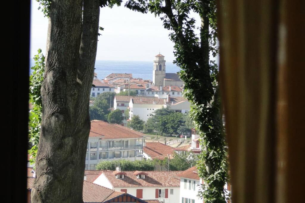 Ciboure:T2, Proximite Golf Et Plages, Vue Sur Mer Buitenkant foto