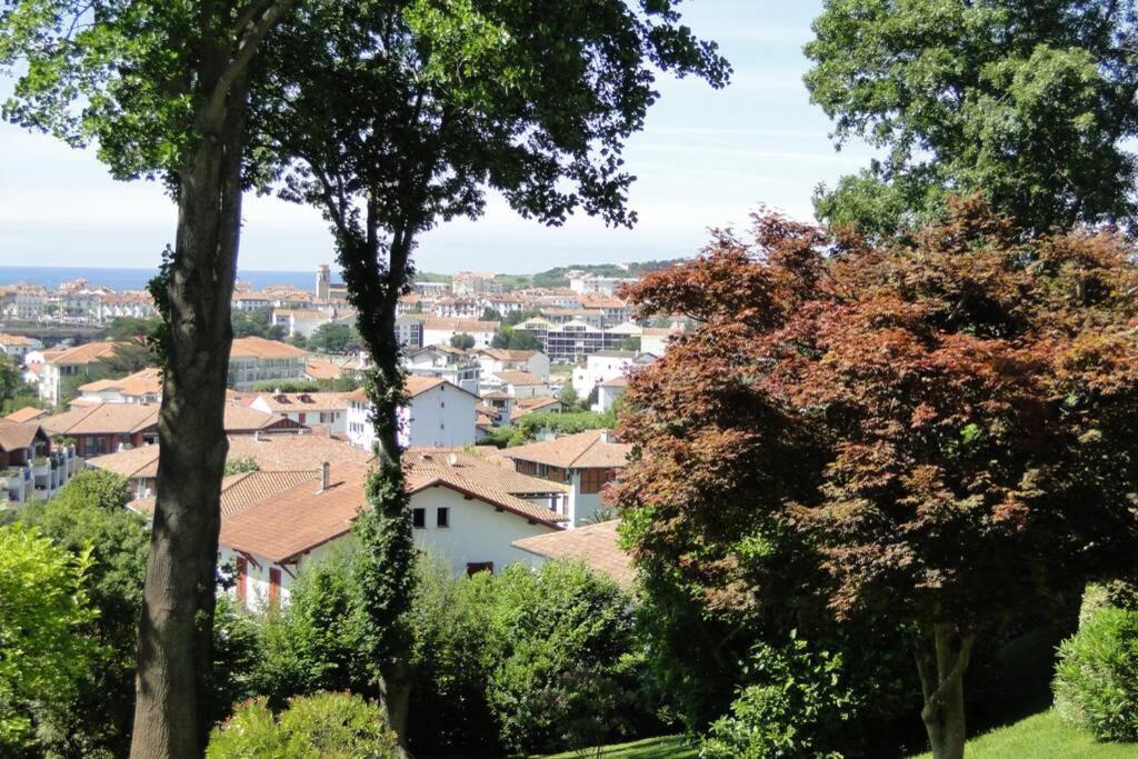 Ciboure:T2, Proximite Golf Et Plages, Vue Sur Mer Buitenkant foto